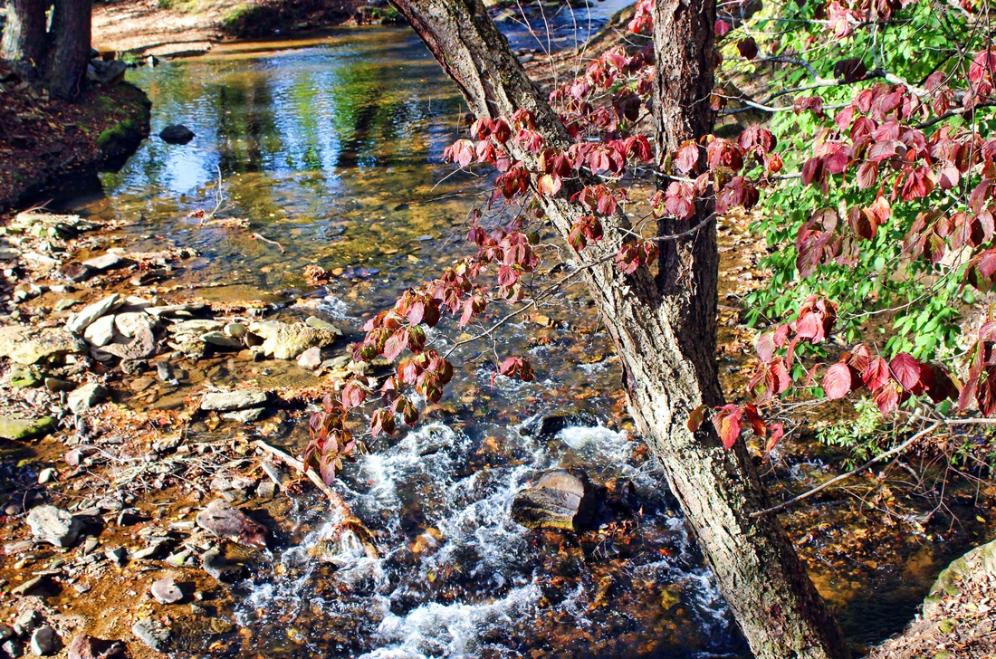 Meeks Park photo by Seeing Southern Meeks Park photo by Seeing Southern