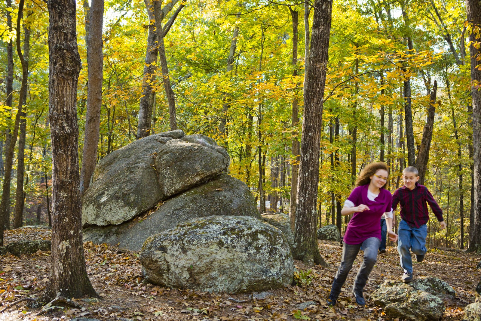 Red Top Mountain State Park