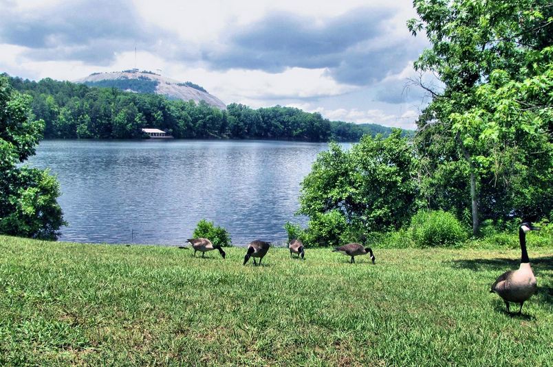 Stone Mountain Park photo by Gornton Tulog. Submitted via Flickr.