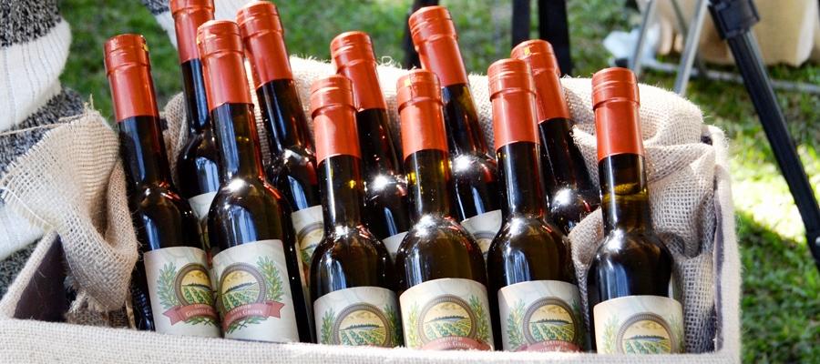 Terra Dolce Farms olive oil from Lyons, Georgia