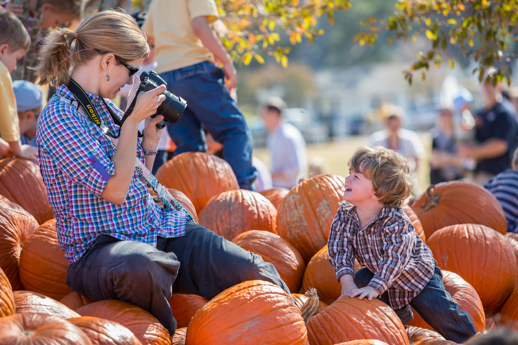 Play in the pumpkin patch at The Rock Ranch