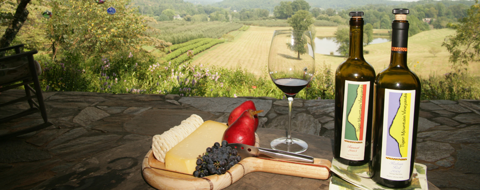 Wine and cheese at Tiger Mountain Vineyards in Tiger, Georgia