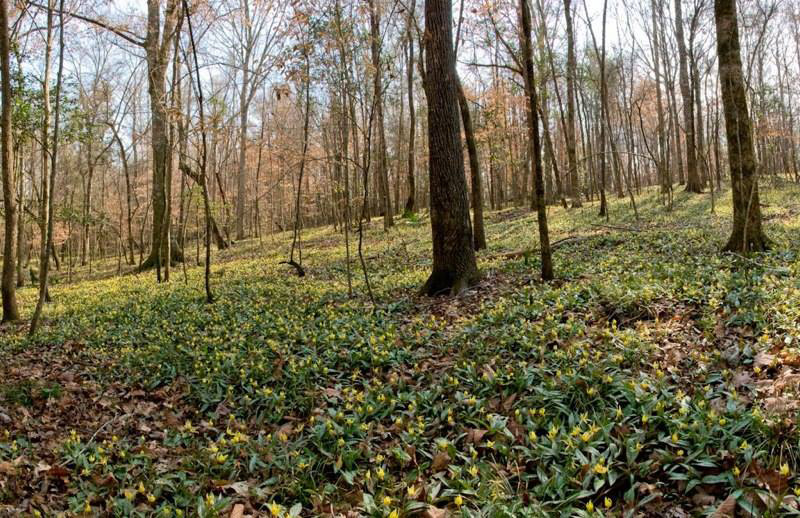 6 Natural Wonders in Explore