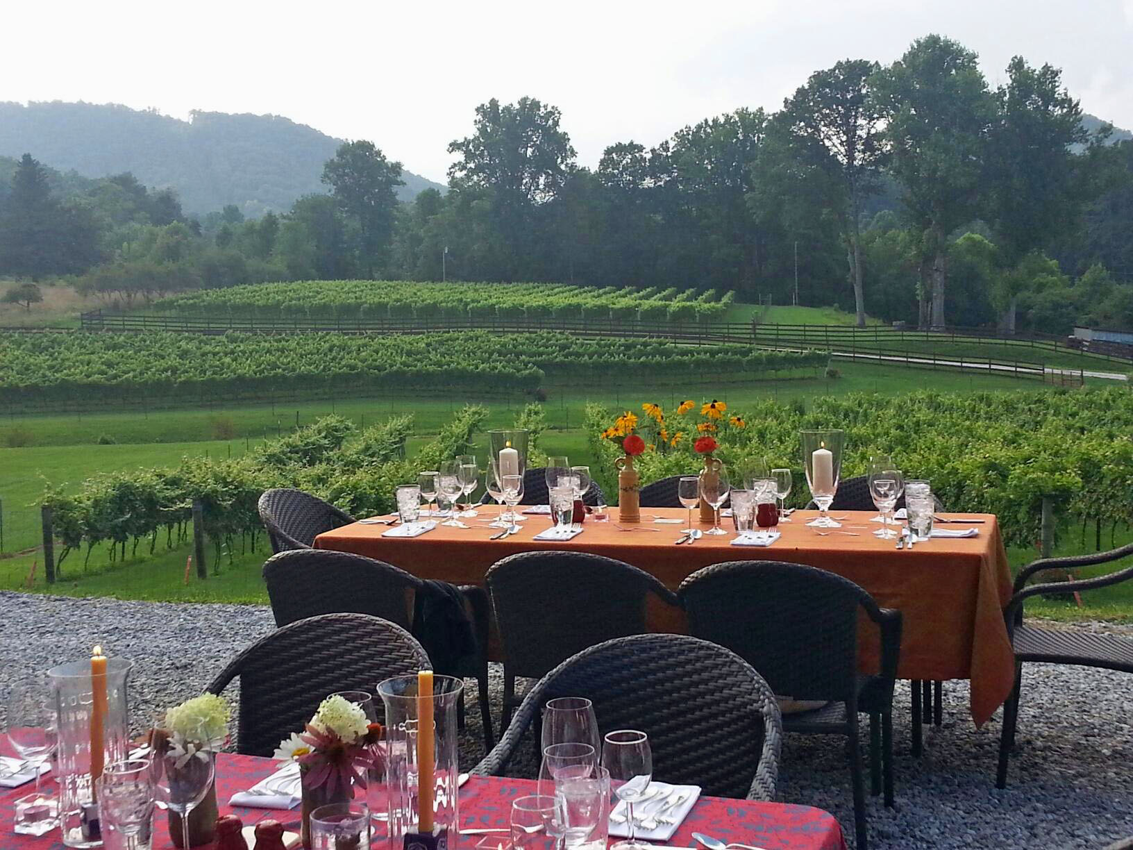 Stonewall Creek Vineyards in Tiger, Georgia