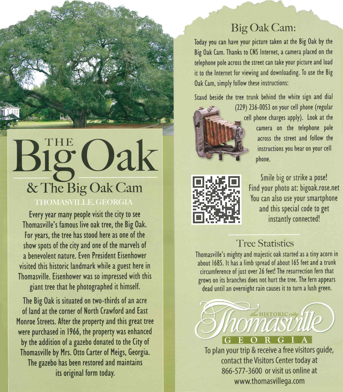 Big Oak and Big Oak Cam brochure
