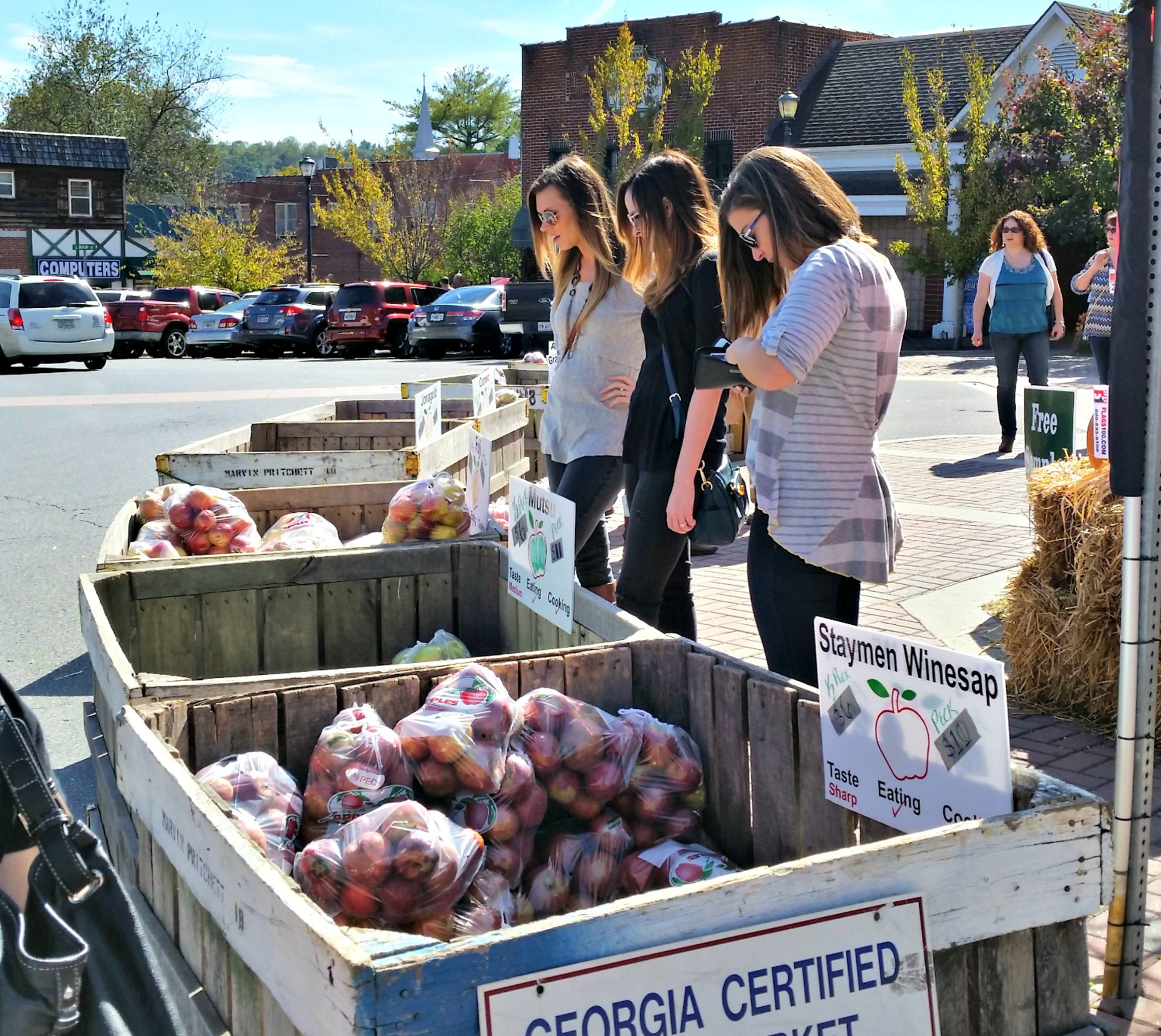 Pick Ellijay 2021 Official Tourism & Travel site Explore