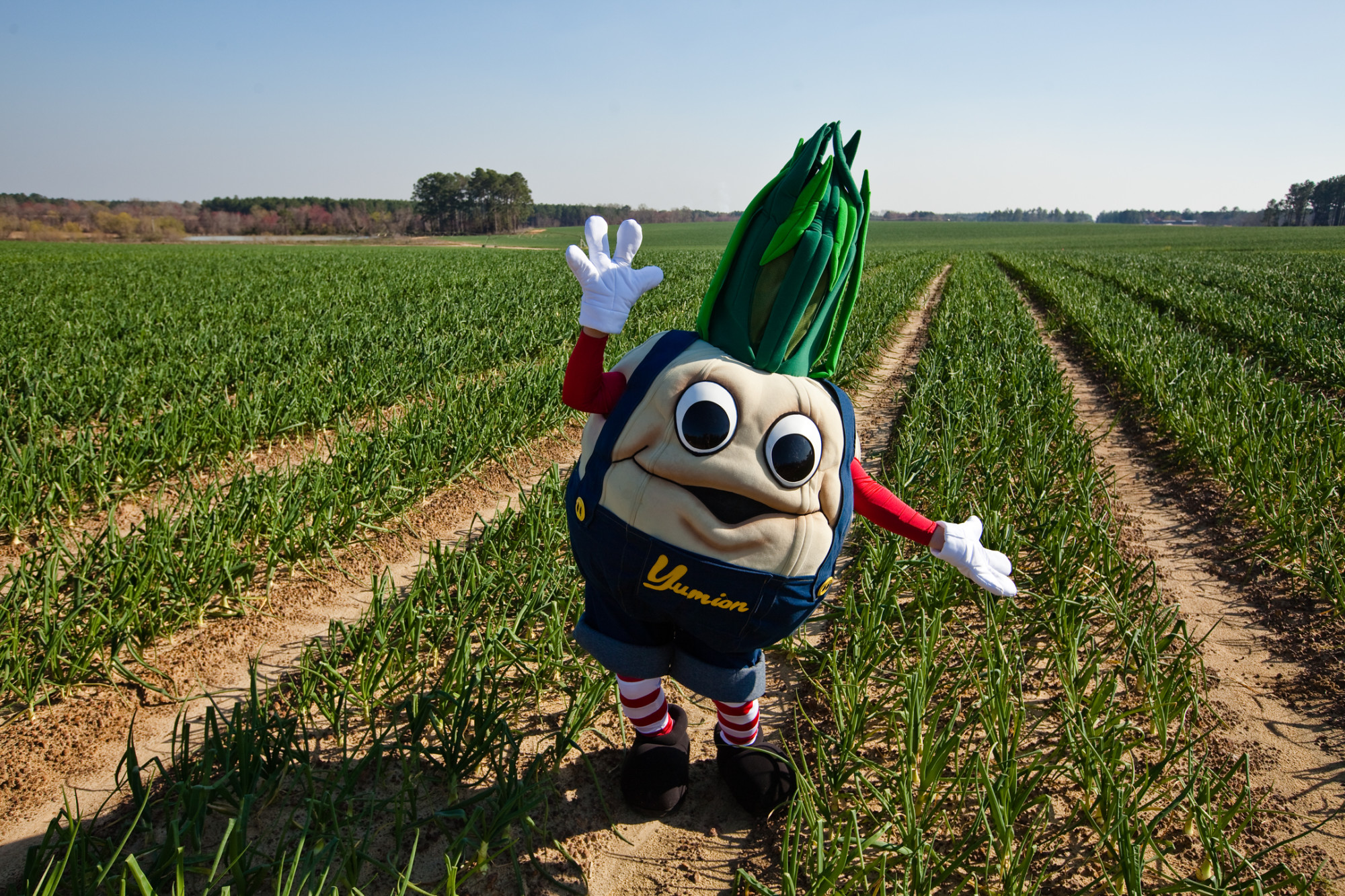 Vidalia Visitors Guide  Official Georgia Tourism & Travel Website  Explore Georgia.org