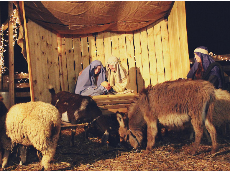 Holiday Celebration & Live Nativity Official Tourism & Travel