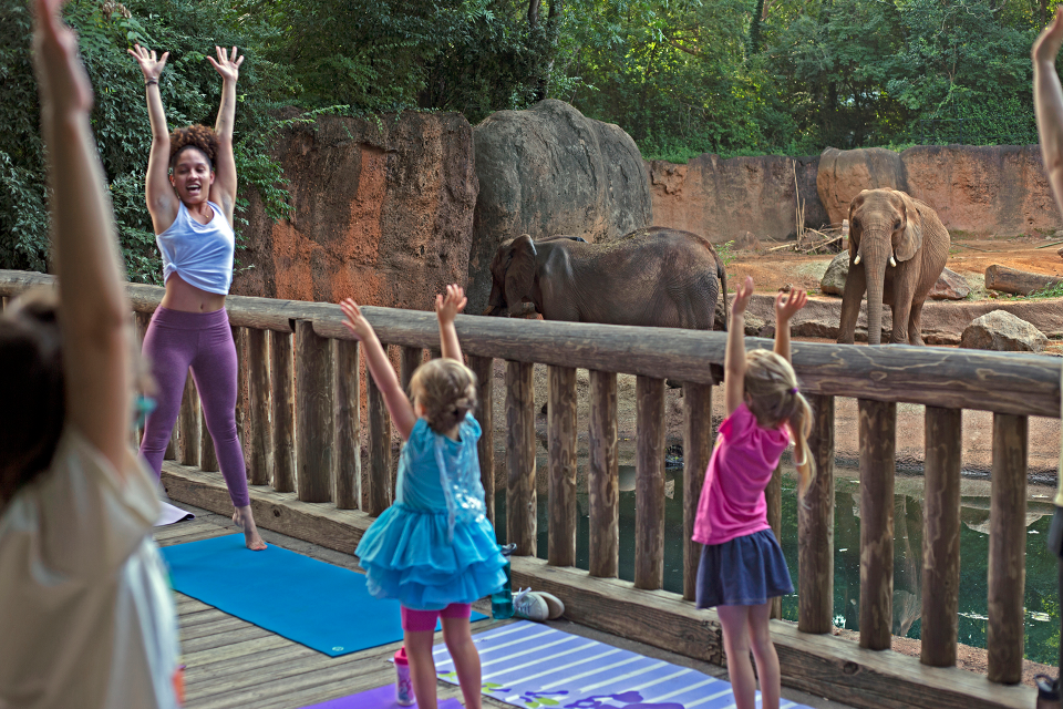 Family Zoo Yoga | Official Georgia Tourism & Travel Website | Explore