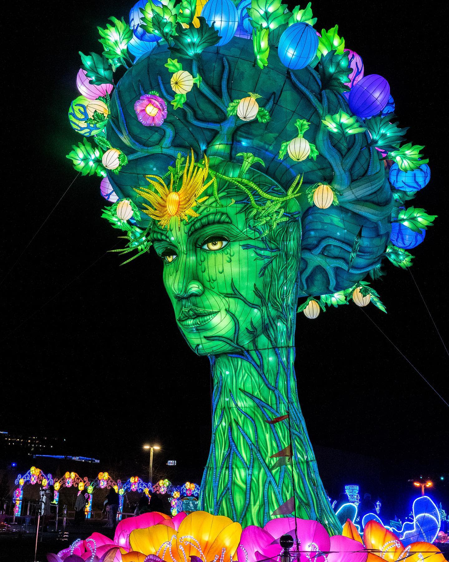 Winter Lantern Festival Official Tourism & Travel site