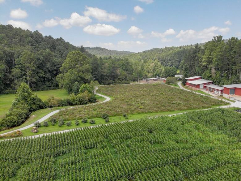 Hillside Orchard Farms Explore