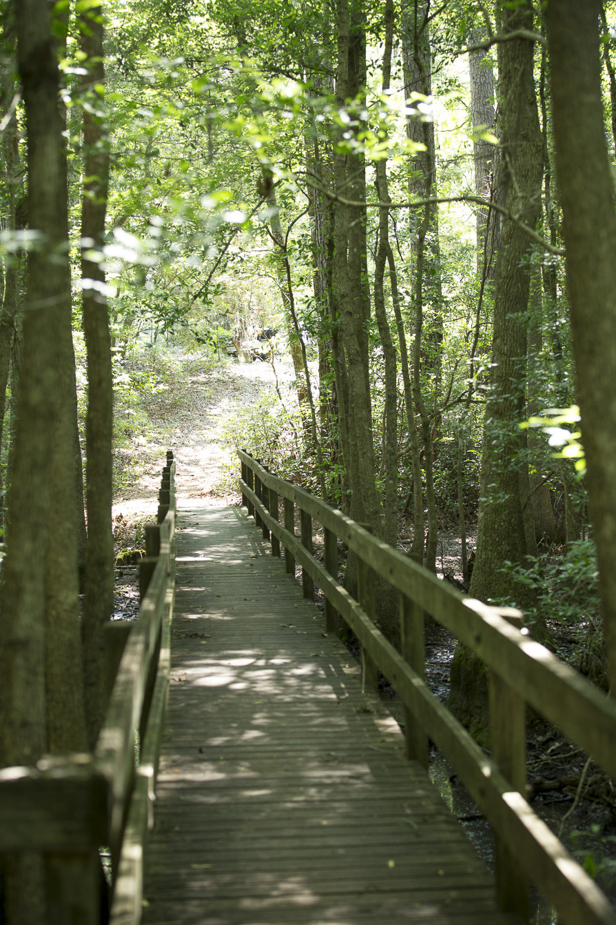 Boardwalk at Little Ocmulgee State Park