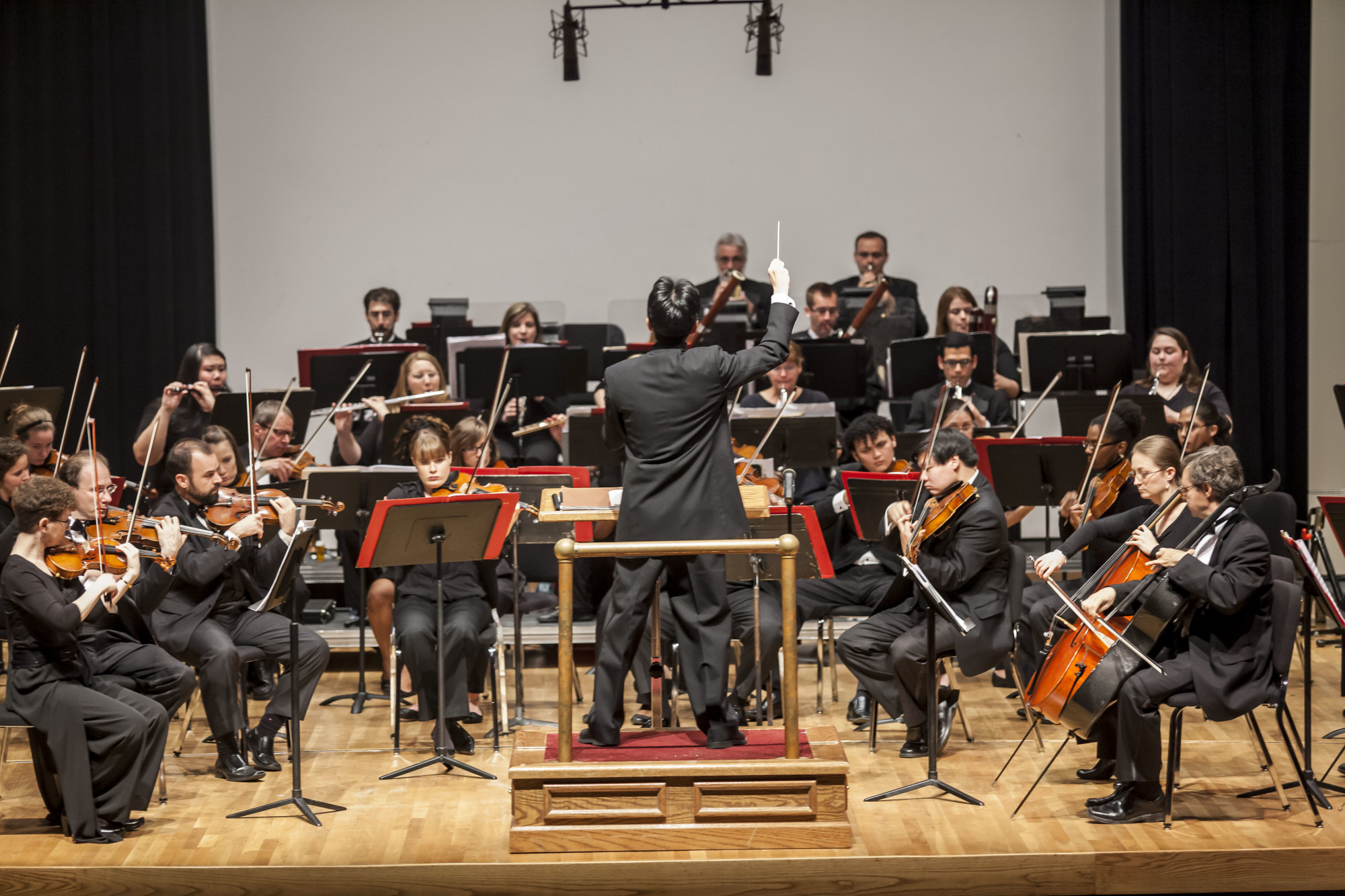 Valdosta Symphony Orchestra Explore