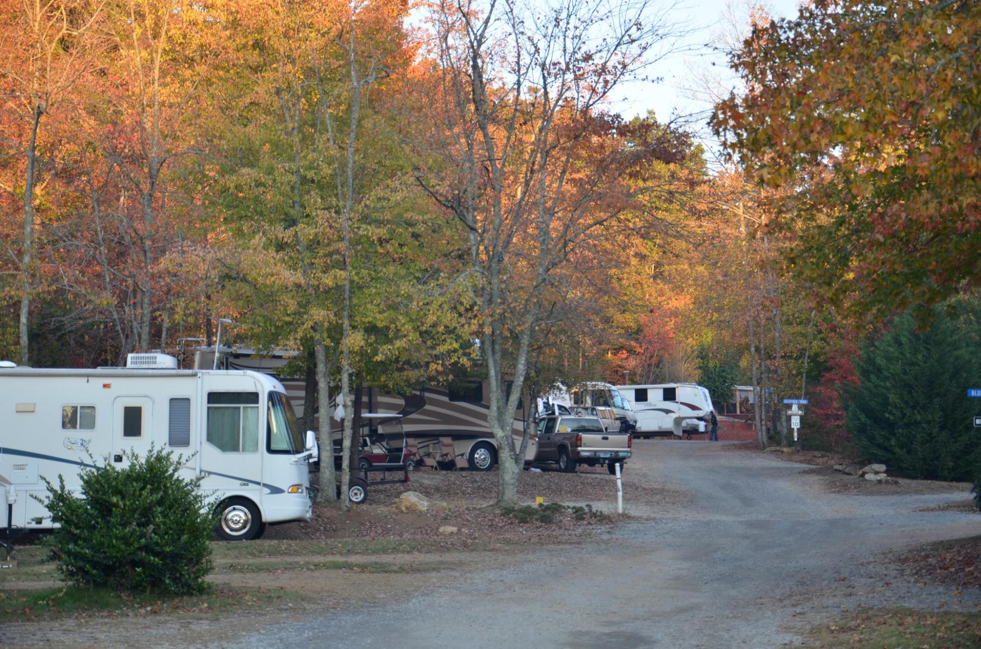 Yonah Mountain Campground | Official Georgia Tourism & Travel Website