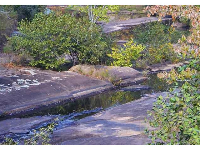 Cedar Creek Wildlife Management Area | Explore Georgia