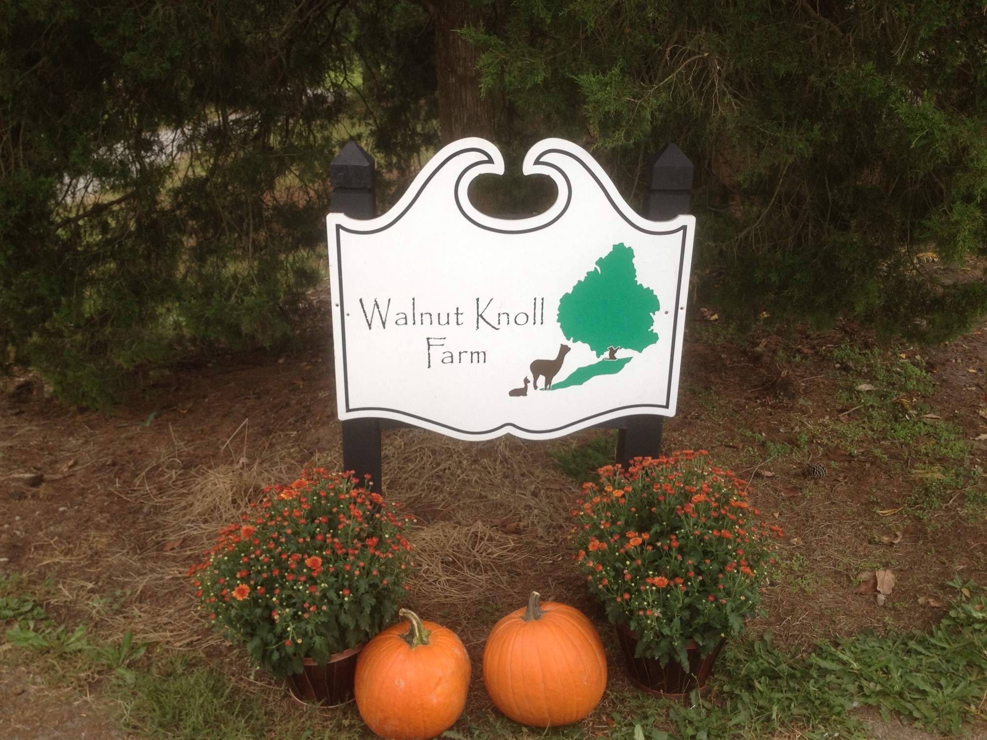 Walnut Knoll Farm Tours Official Tourism & Travel site