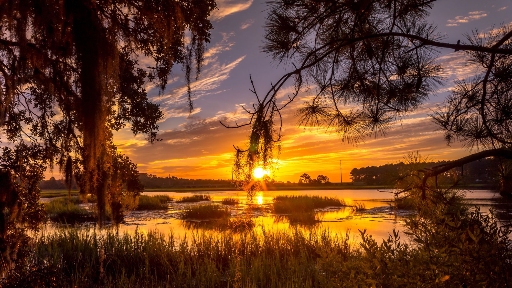 Jones Creek Park Official Tourism & Travel site