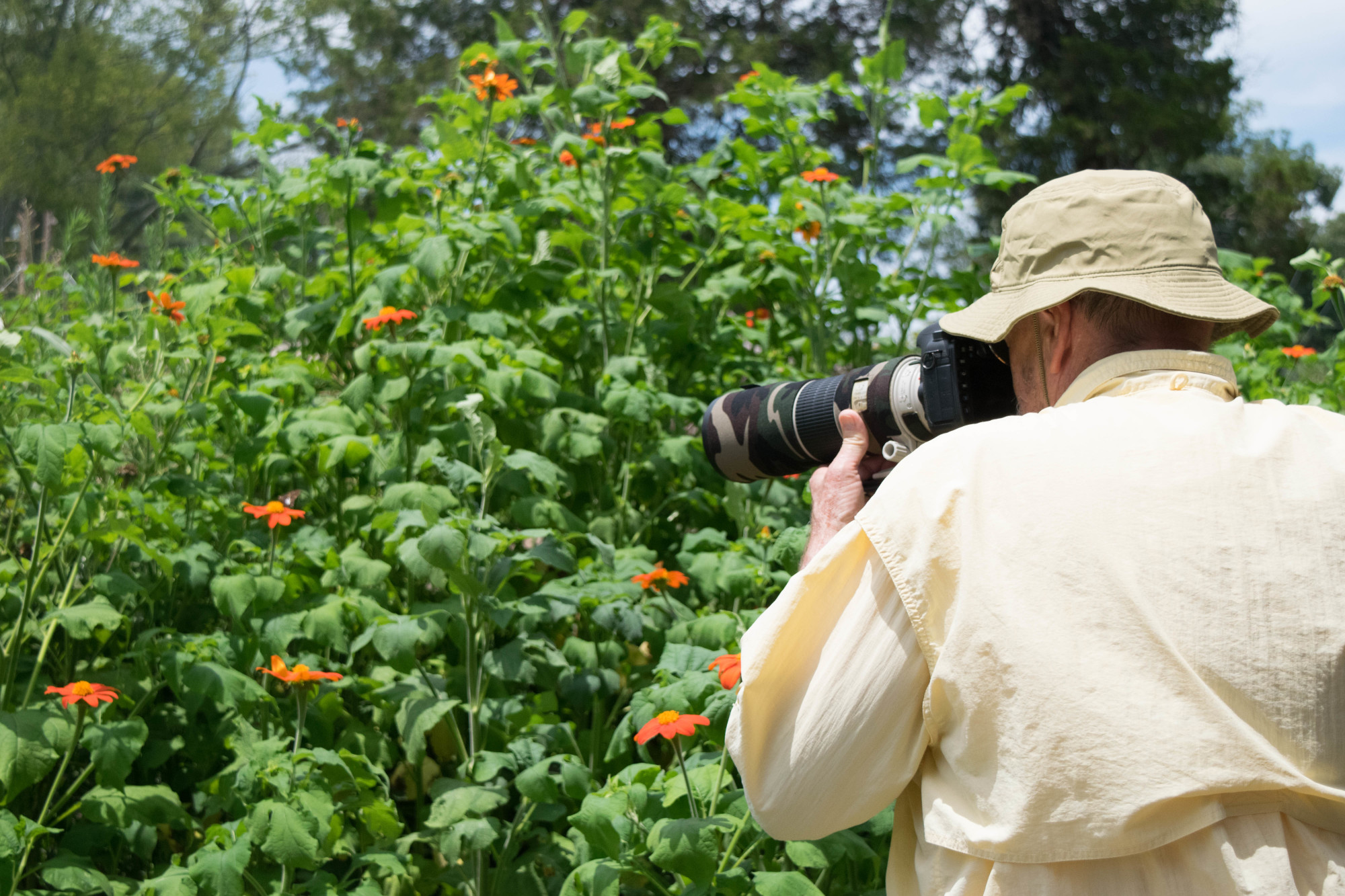 Butterflies & Blooms in the Briar Patch Explore