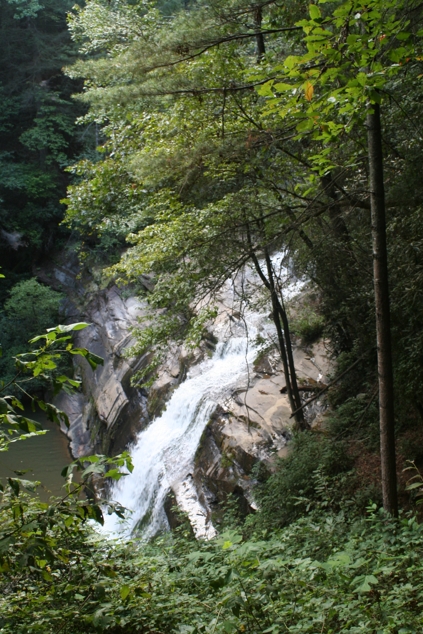 Tiger Creek Falls Inn Explore
