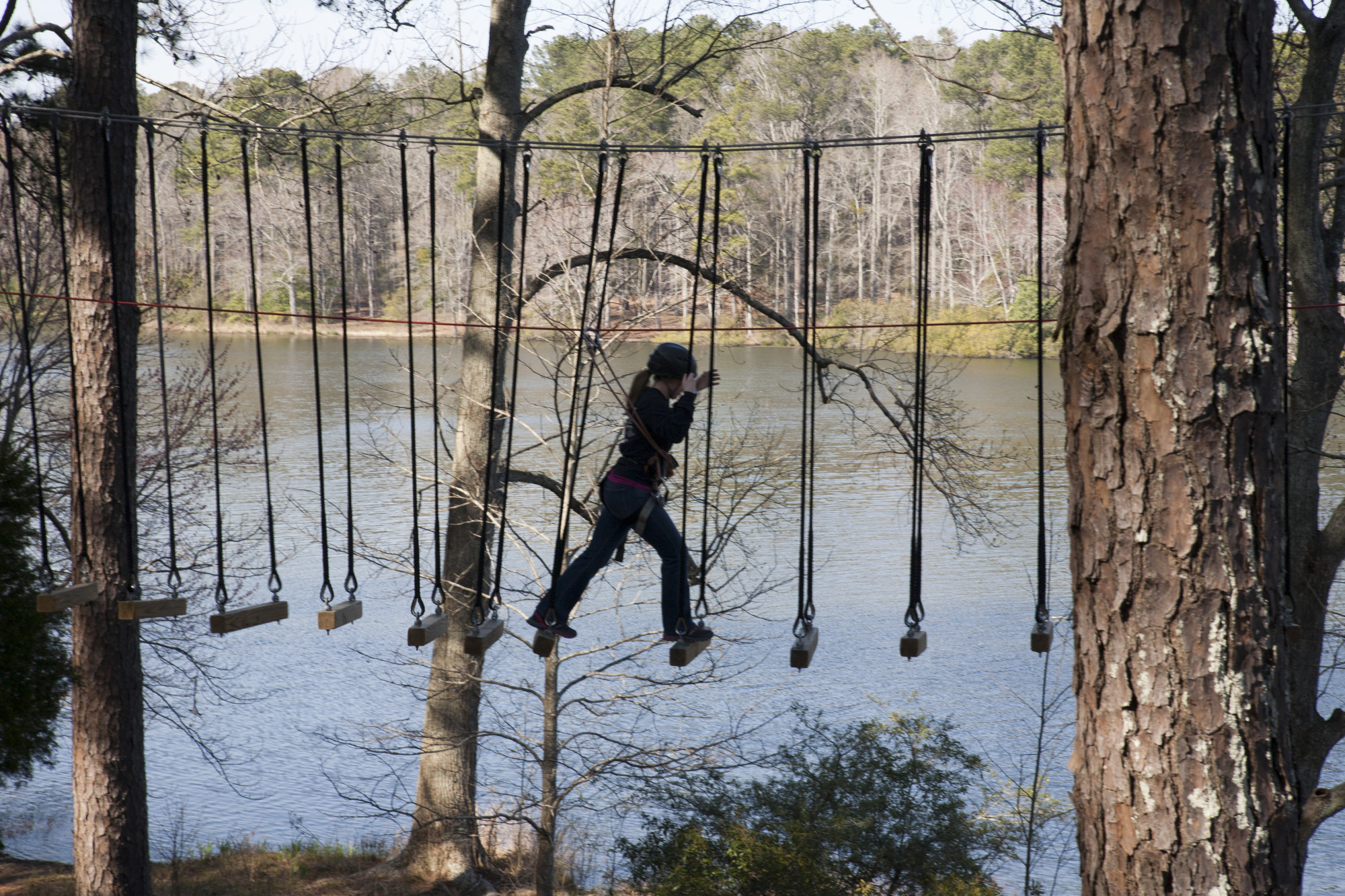 TreeTop Adventure at Callaway Gardens | Explore Georgia