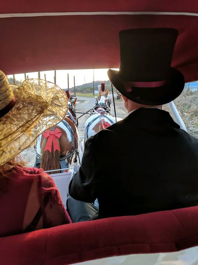 Daffodil Hill Farm & Carriage LLC Official Tourism & Travel