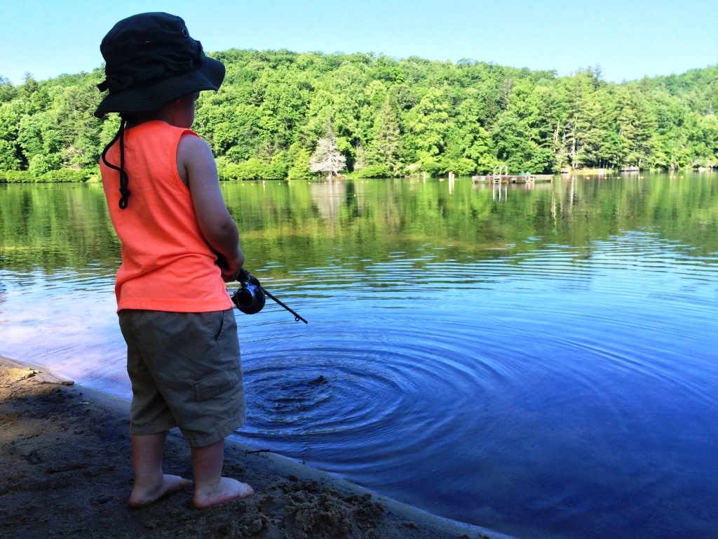 Upper Chattahoochee River Campground - CNF | Official Georgia Tourism