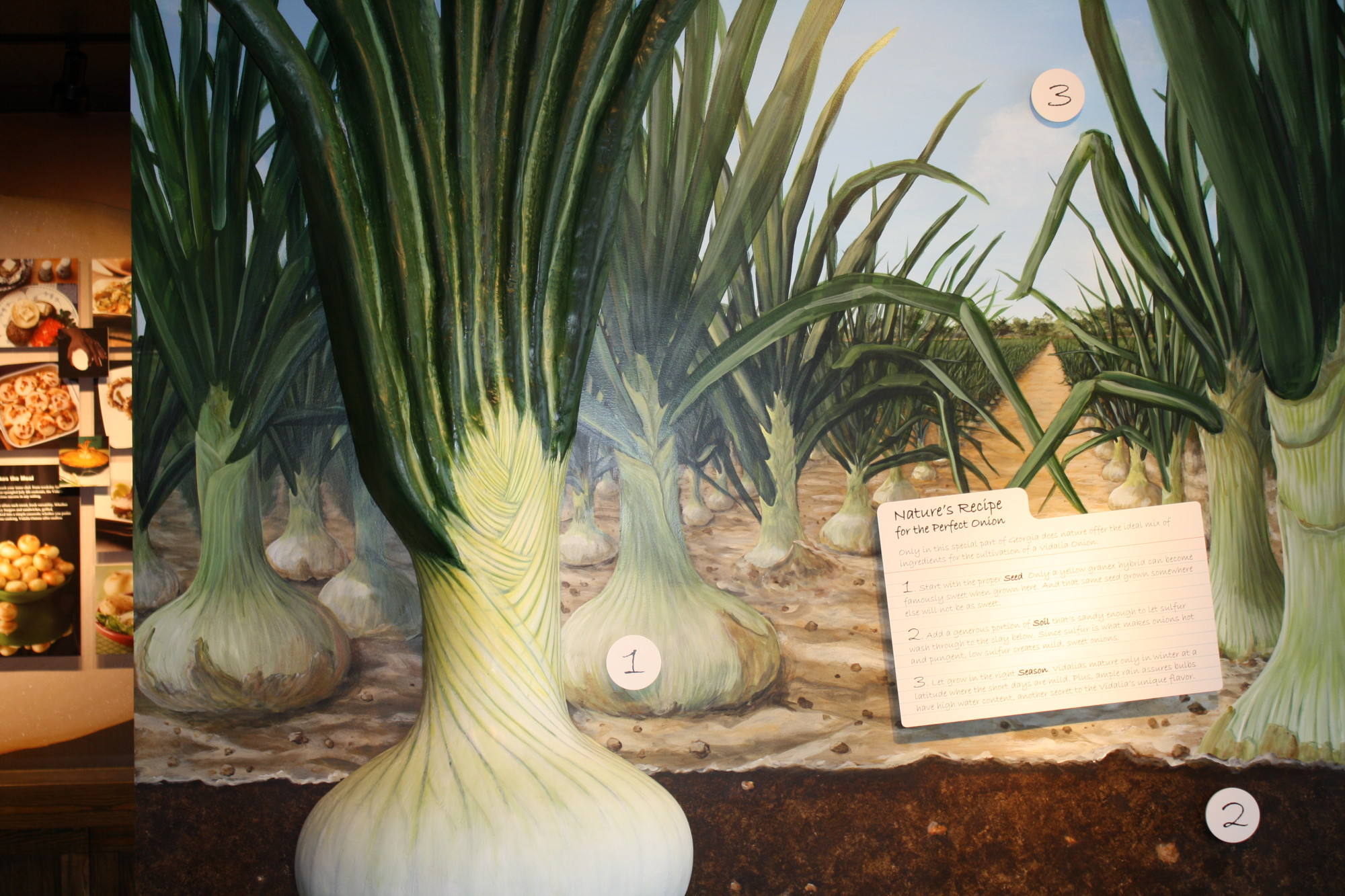 Vidalia Onion Museum Explore