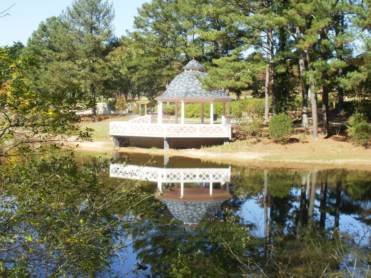 Vines Park and Mansion Explore