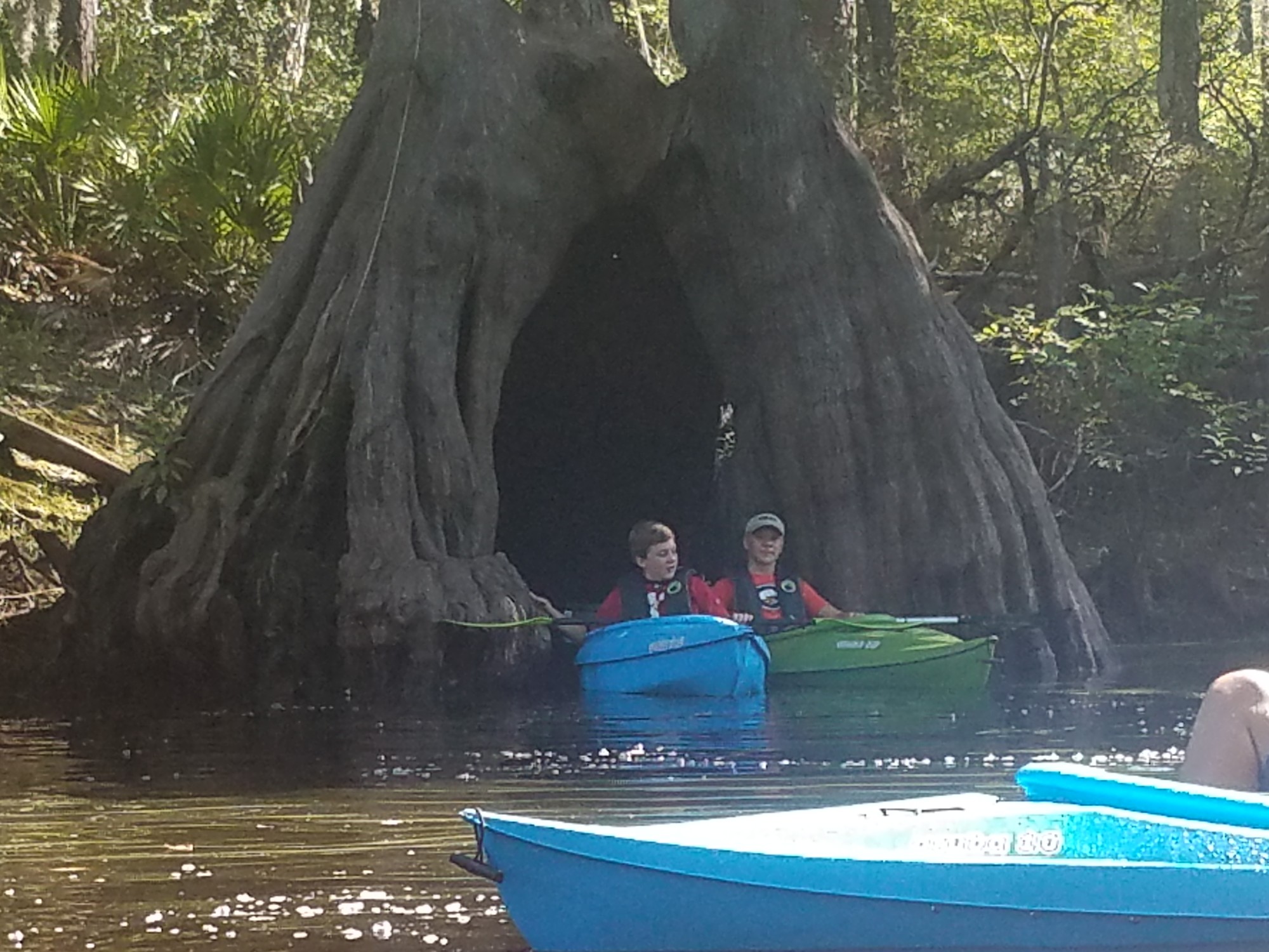 Rincon Things to Do Explore