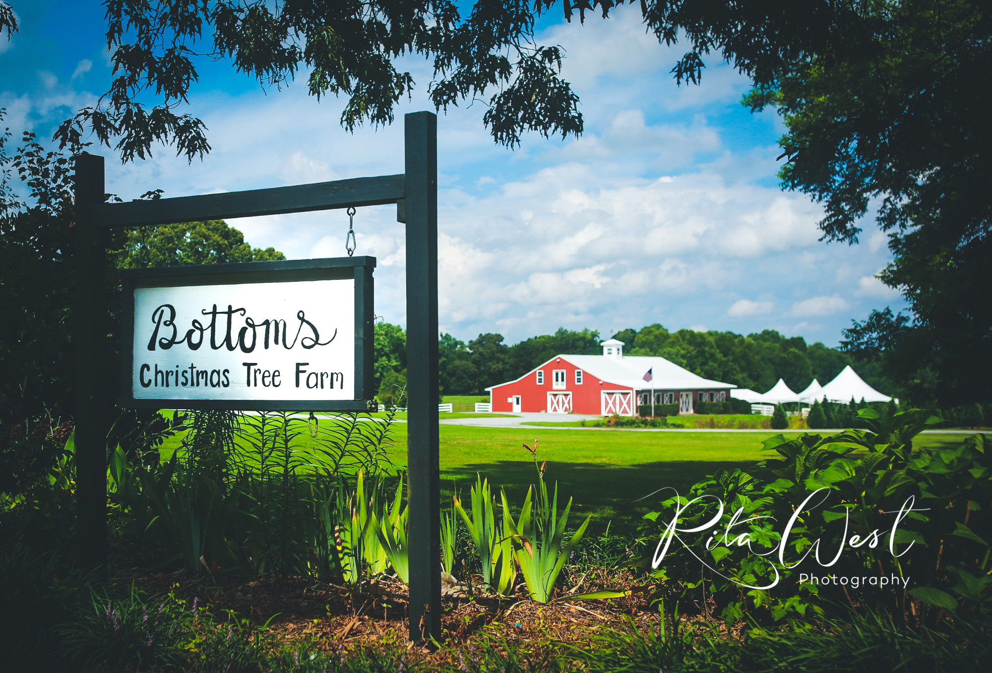 Bottoms Christmas Tree Farm Explore