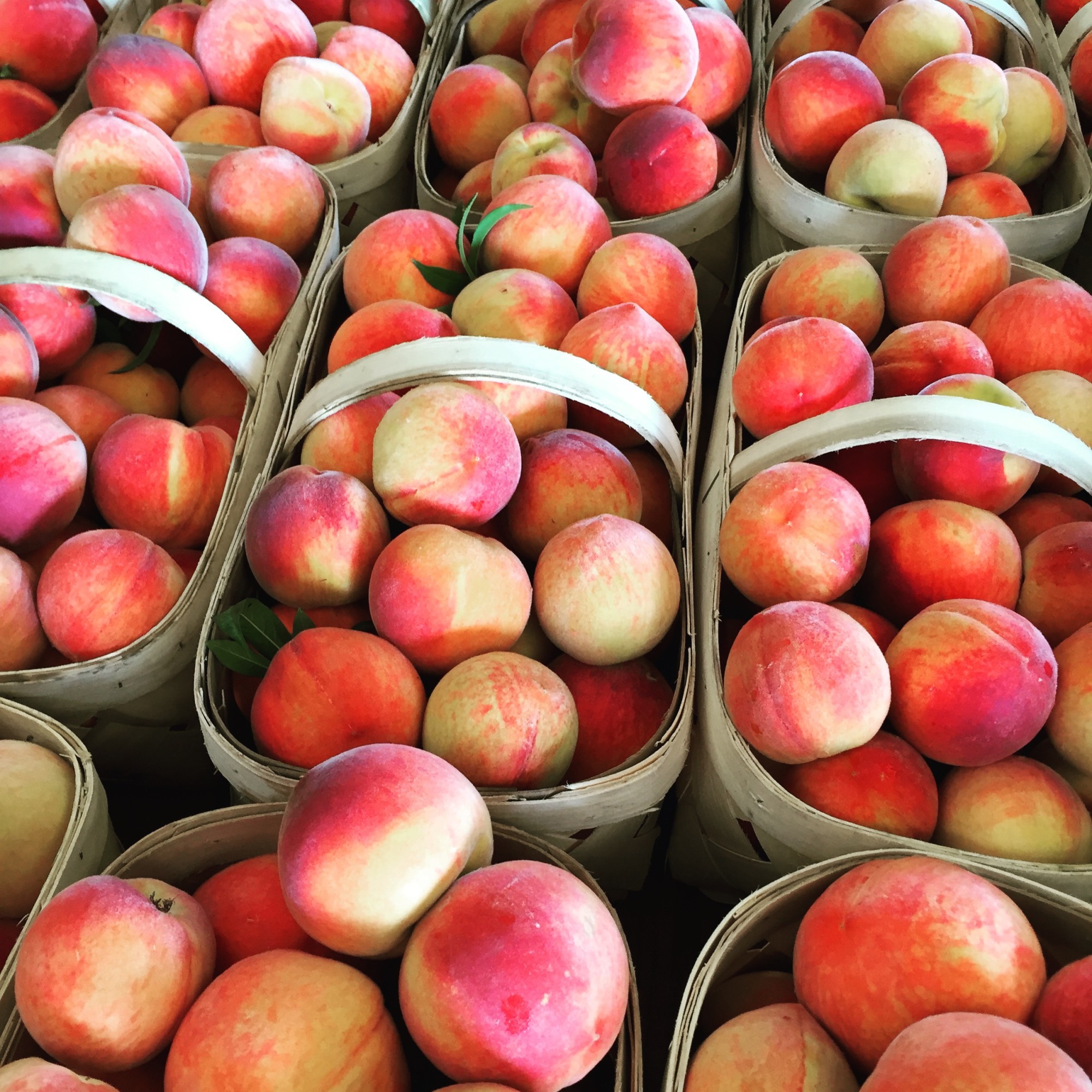 Peaches at Jaemor Farms at Banks Crossing in Commerce, Georgia