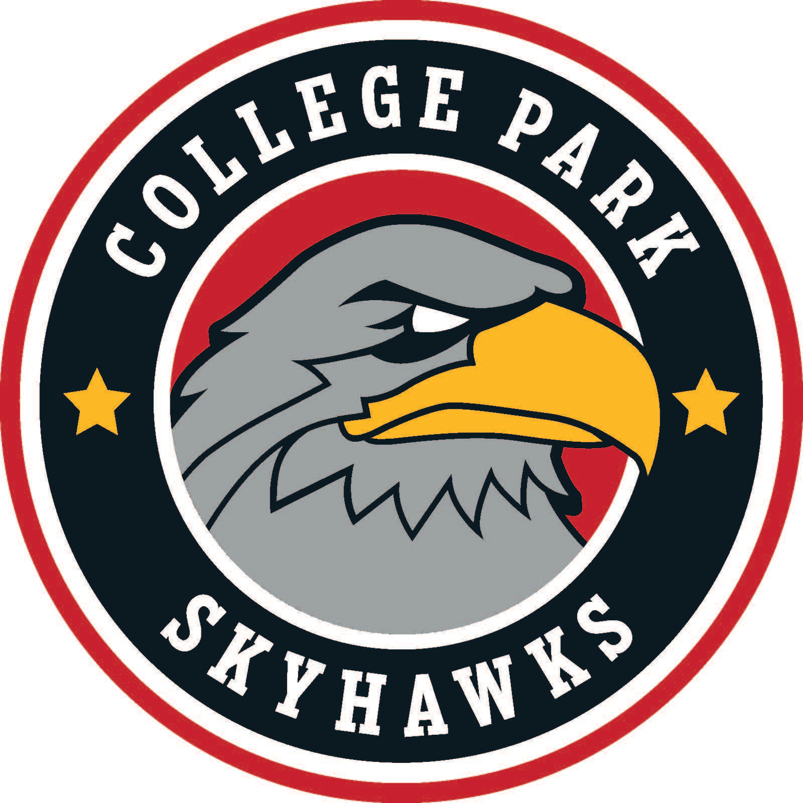 College Park Skyhawks: Your Ticket To Exciting Basketball Action
