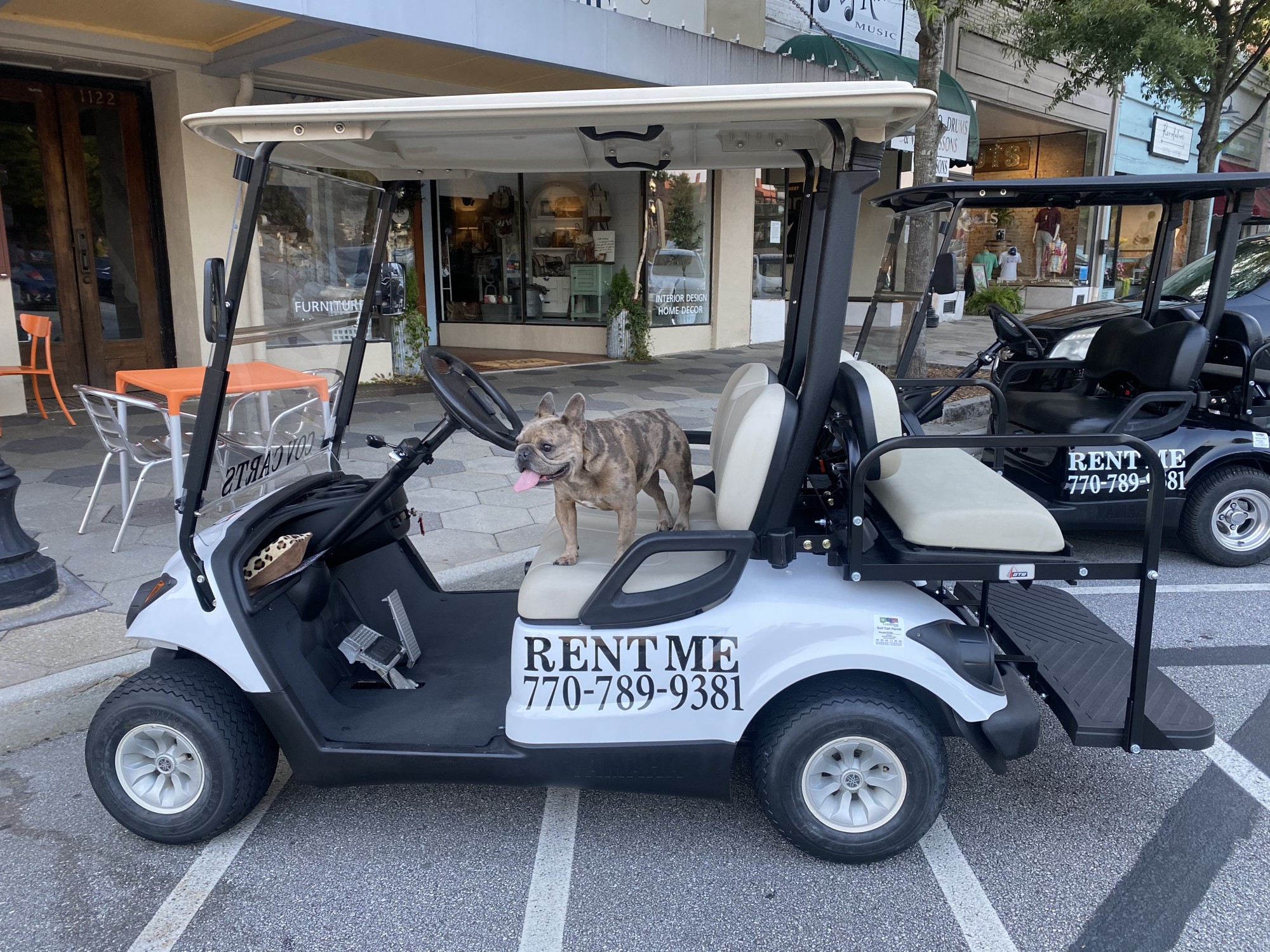 Cov Carts Golf Cart Rentals, LLC Official Tourism & Travel