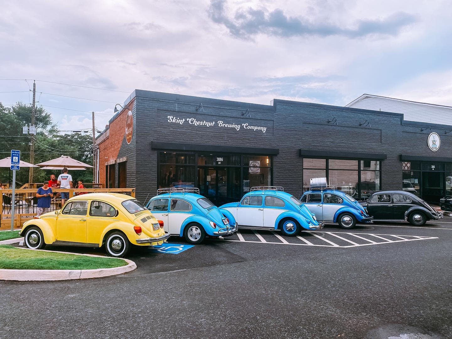 Skint Chestnut Brewing Company Official Tourism & Travel