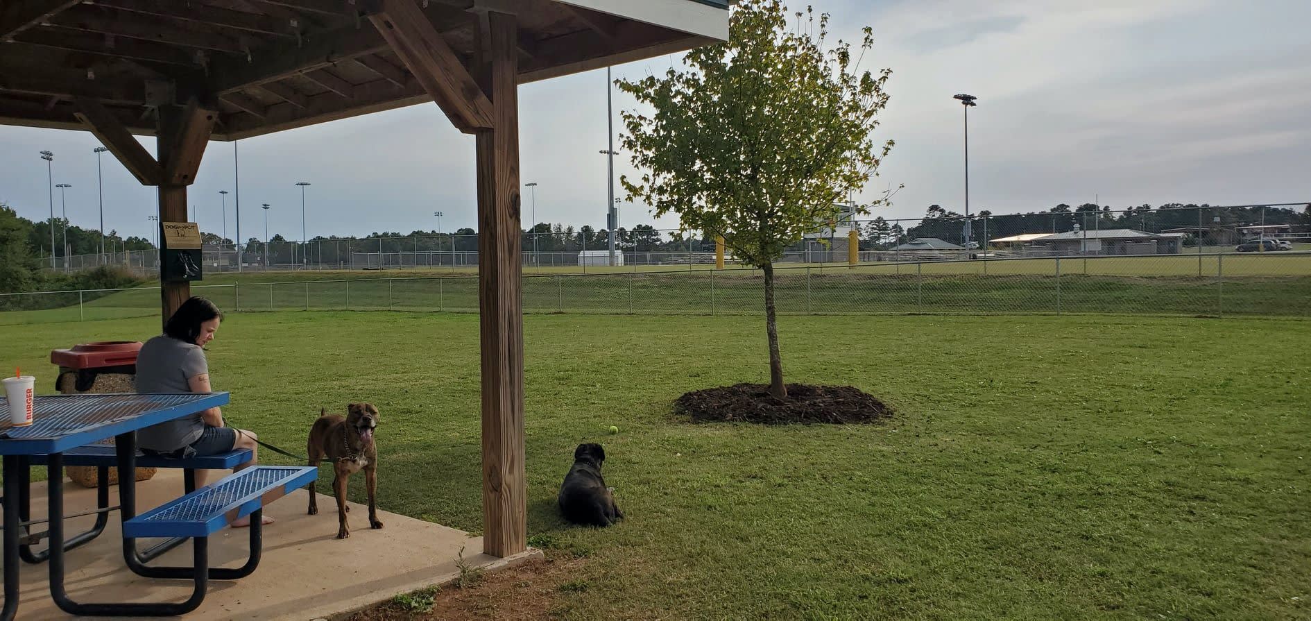 Hartwell Dog Park Explore