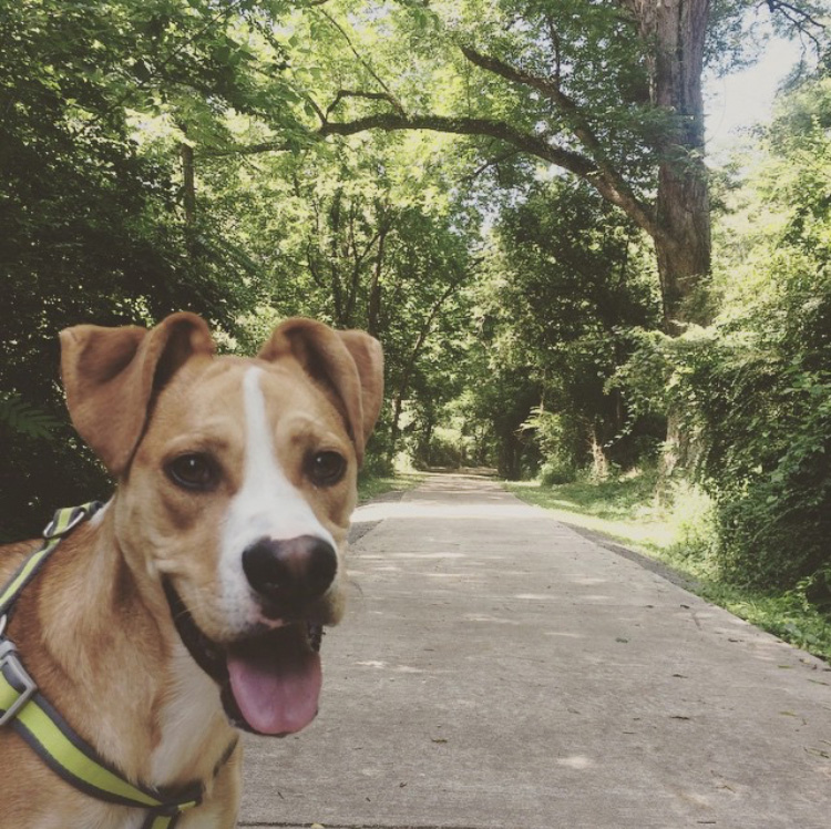 Oconee River Greenway in Milledgeville. Photo credit: Rocko, @rockospawdernlife