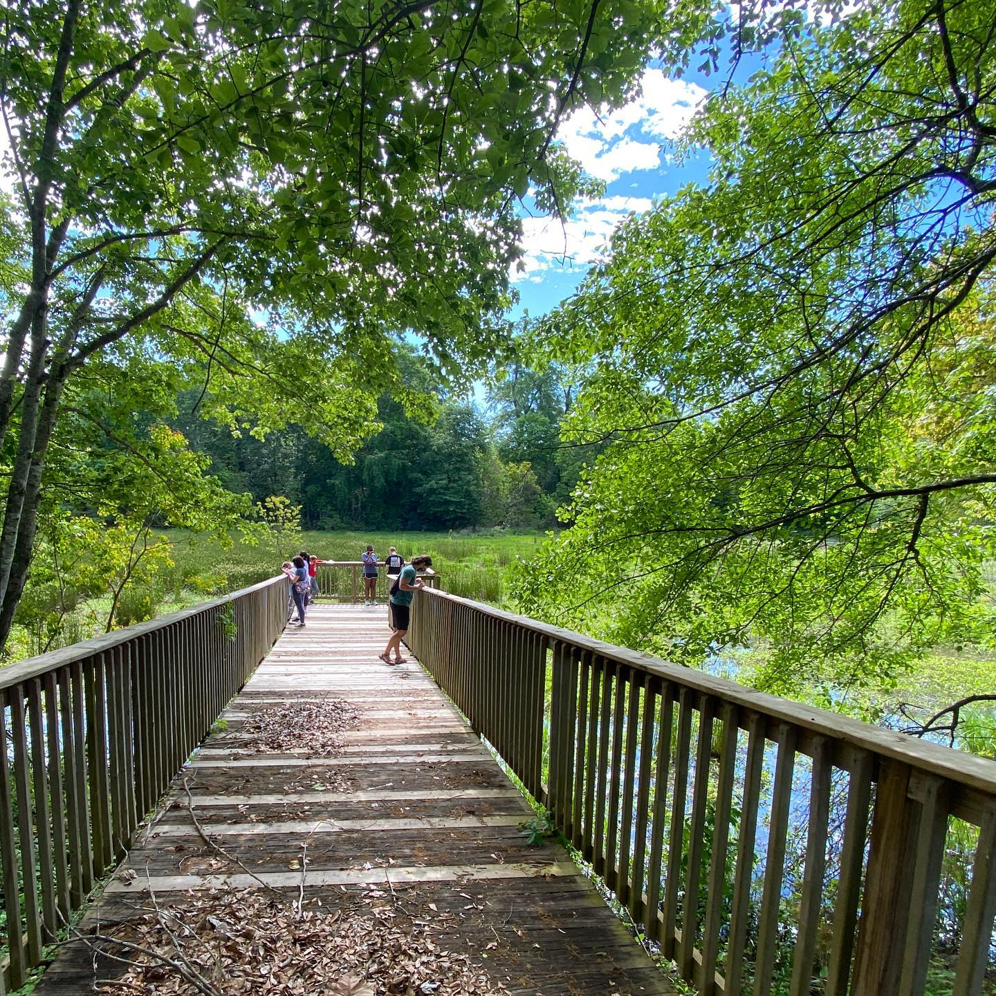 Wetlands trail at Oxbow Meadows Environmental Learning Center in Columbus, Georgia