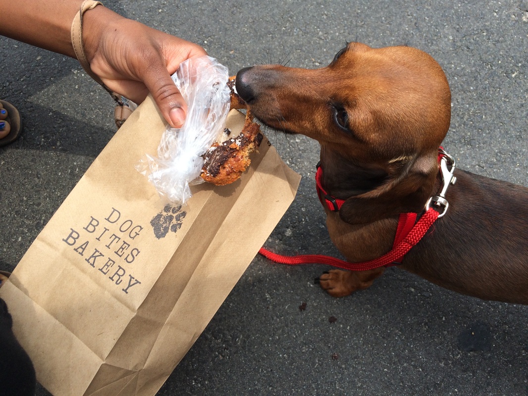 Dog Bites Bakery treats for pets