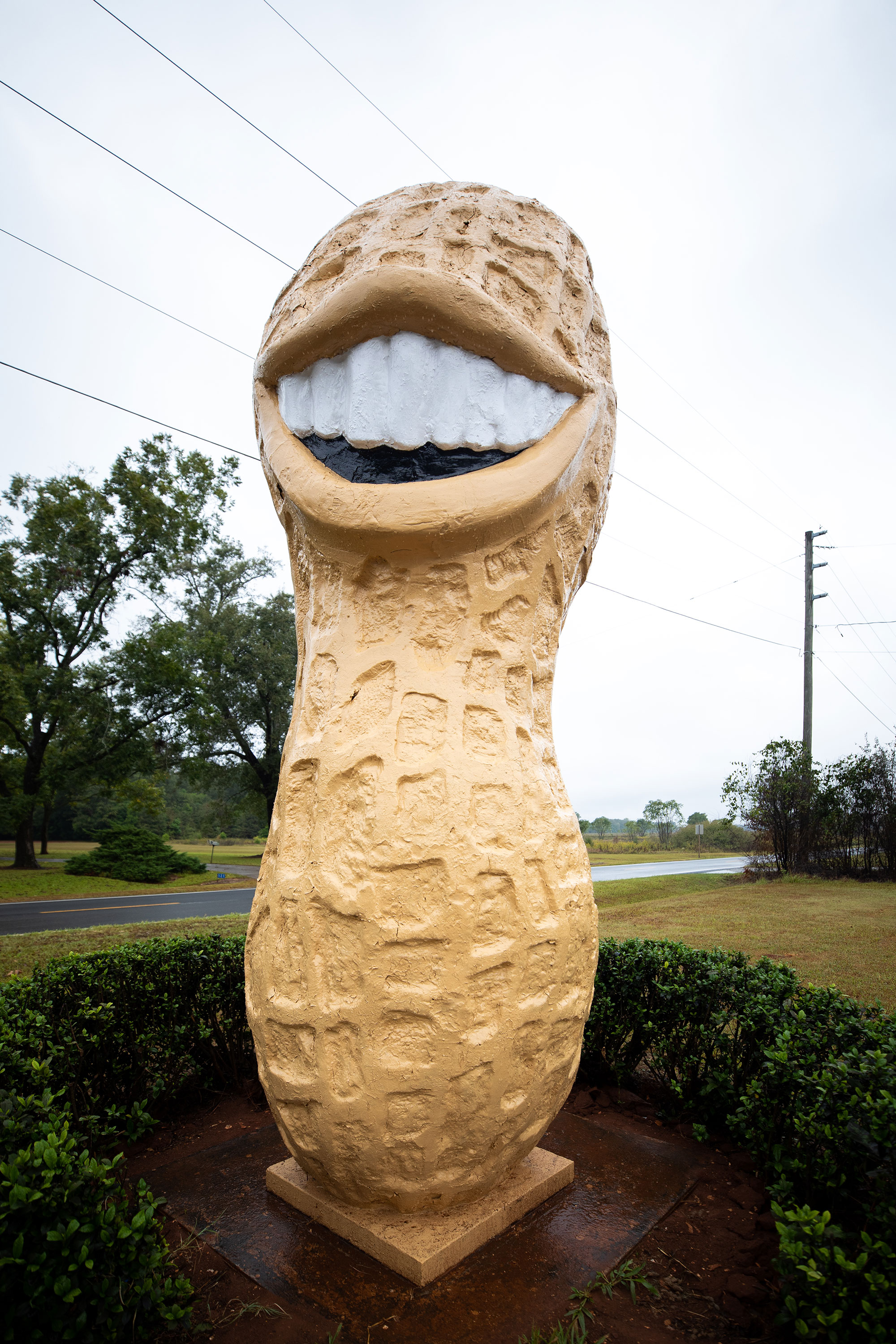 How to Spend a Weekend in a President's Hometown Explore