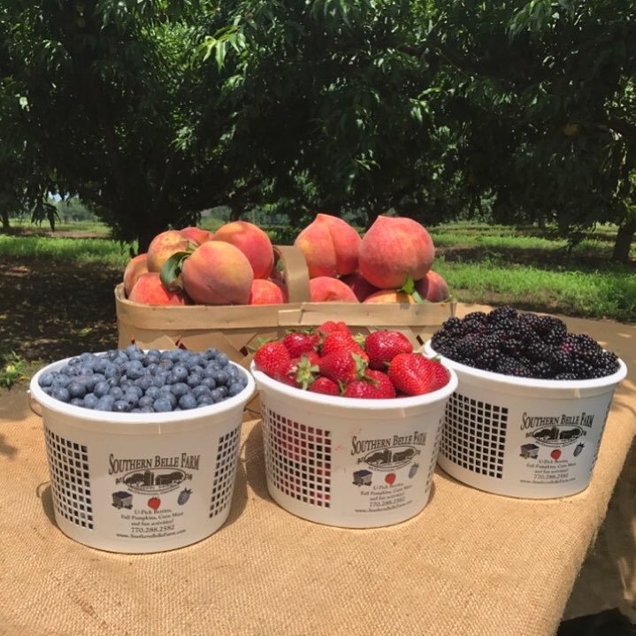 Fruit at Southern Belle Farm in McDonough, Georgia