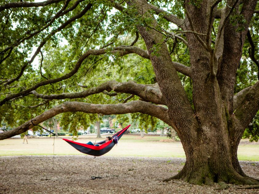 Statesboro Official Tourism & Travel site