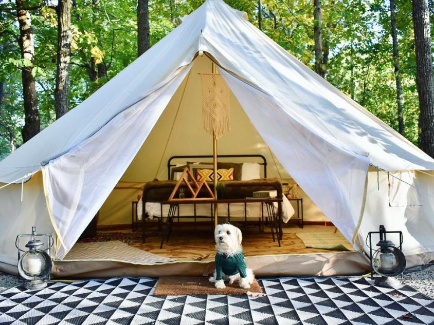 Georgia Glamping at Shady Grove Campground on Lake Lanier. Photo credit Teddy The Morkie, @teddy.takesthecity