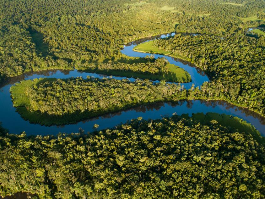 Aerial view of the Altamaha River in Georgia. Photo by Benjamin Galland