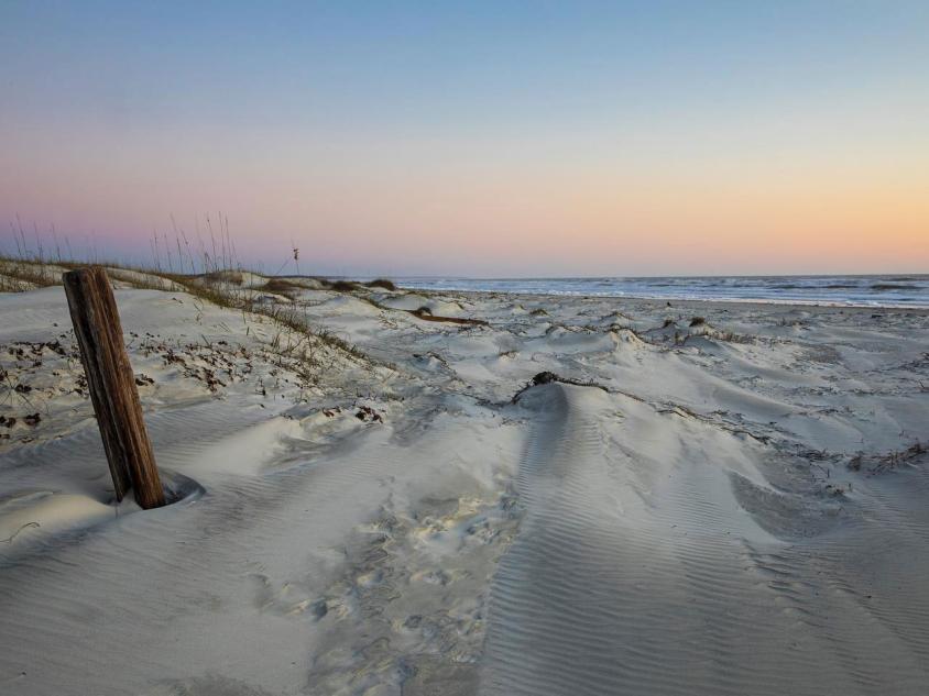 Cumberland Island, Georgia. Photo by @benjamingalland