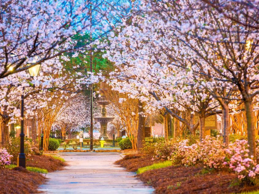 Explore Georgia's Fairs & Festivals | ExploreGeorgia.org