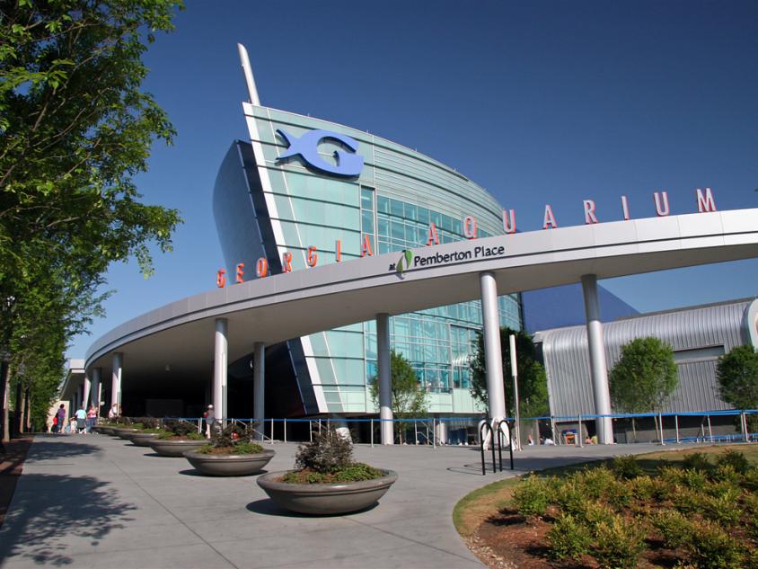 Georgia Aquarium Georgia Aquarium in Atlanta