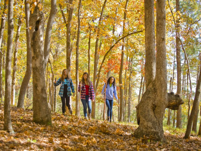 Hiking at Red Top Mountain State Park in Cartersville, Georgia