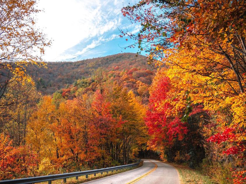Fall Road Trips