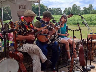 Musicians performing at the Georgia Wine Country Festival