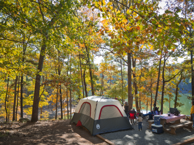 Lake allatoona swingers